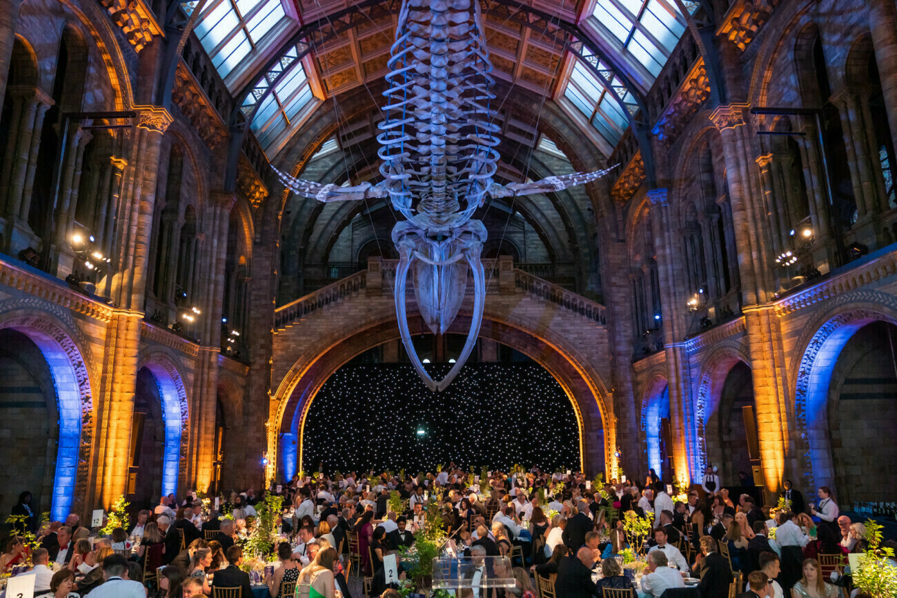 A large hall with a high arched ceiling, featuring an enormous skeletal whale model hanging from above. The hall is filled with elegantly dressed guests seated at tables, surrounded by warm lighting and decorative plants